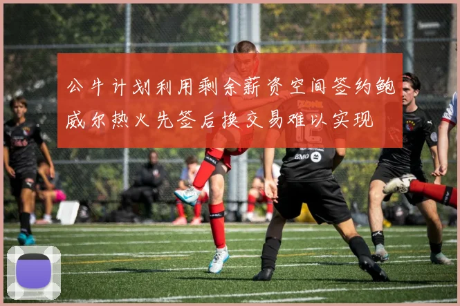 公牛计划利用剩余薪资空间签约鲍威尔热火先签后换交易难以实现