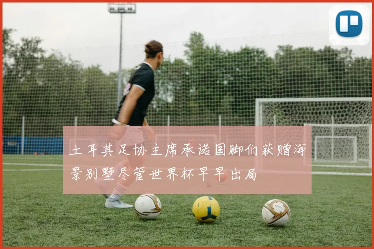 土耳其足协主席承诺国脚们获赠海景别墅尽管世界杯早早出局